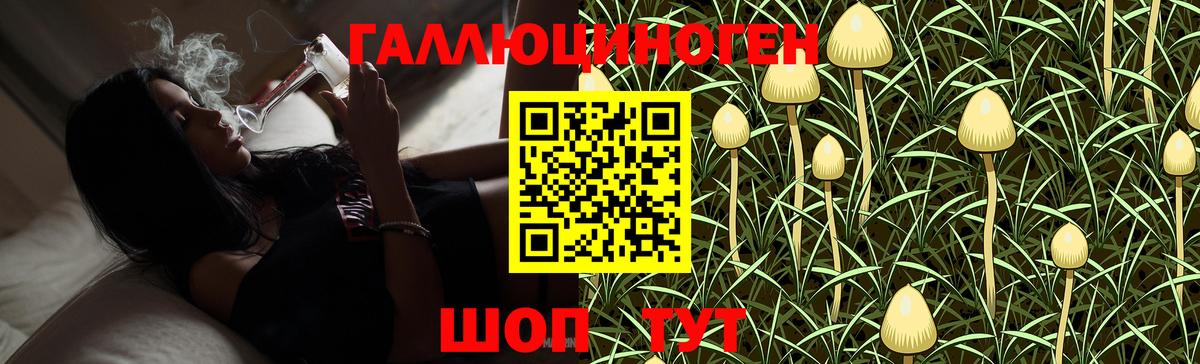 Галлюциногенные грибы MAGIC MUSHROOMS  Галлюциногенные грибы MAGIC MUSHROOMS  Вход с VPN  Аксай 